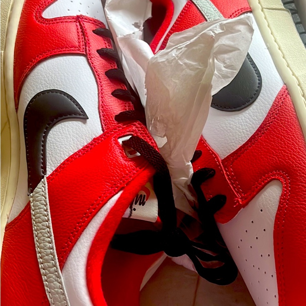 Chicago Split Nike Dunks Size 10.5
